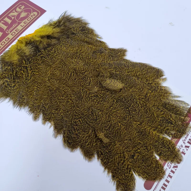 Whiting Coq de Leon Hen Saddle in Speckled Yellow-1